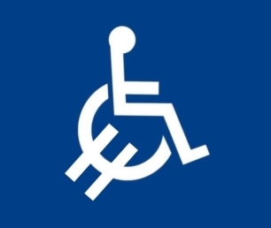 negocio discapacidad - copia